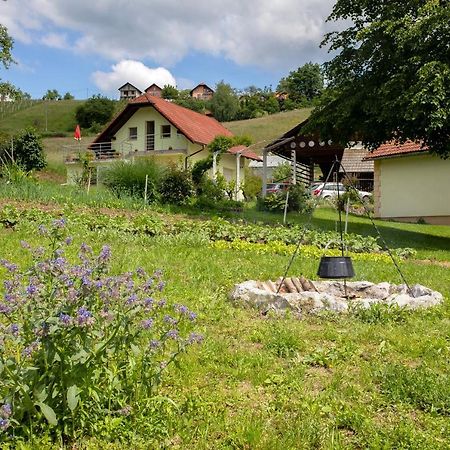 Villa Domacija Vesel à Trebnje Extérieur photo