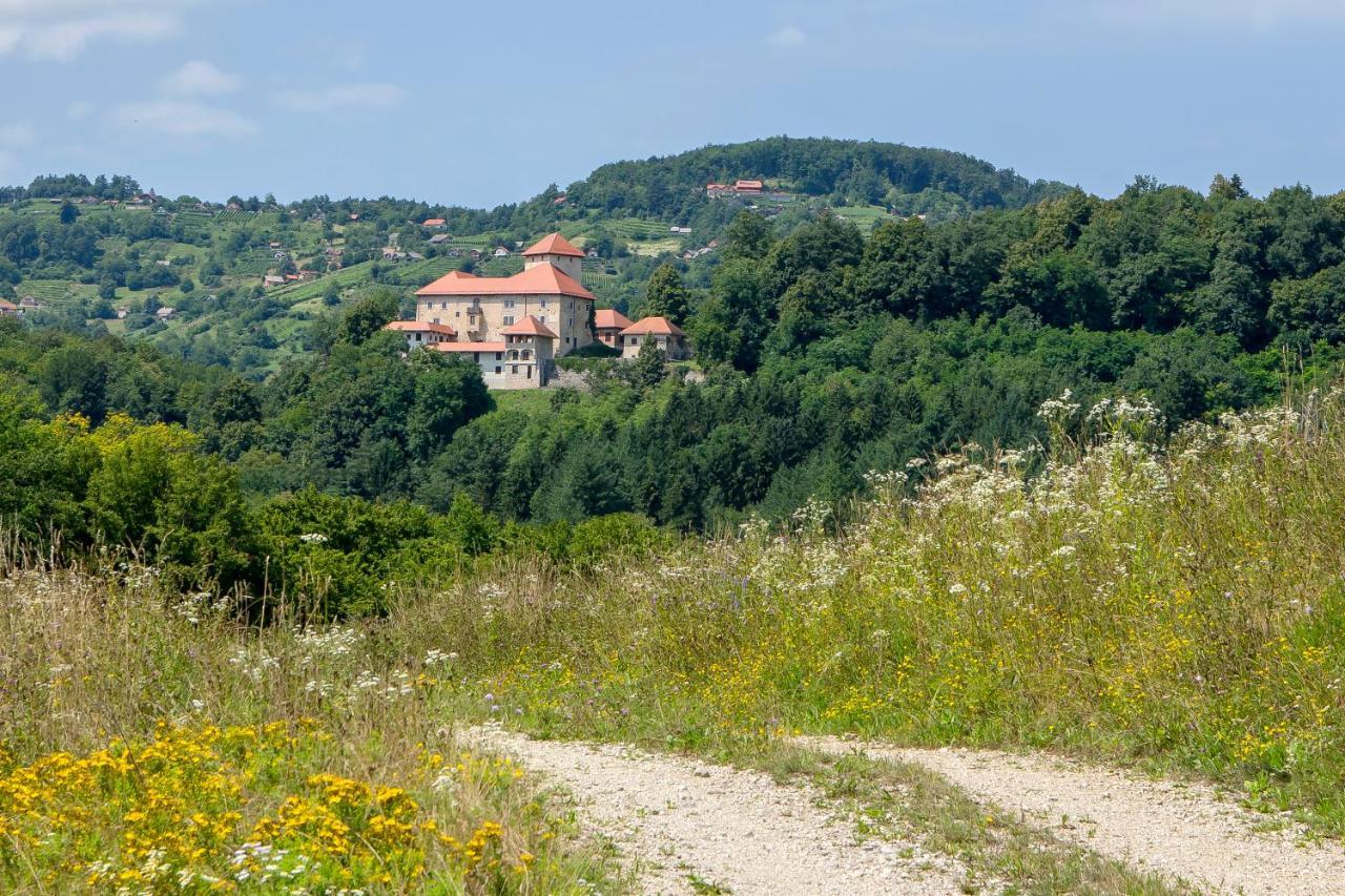 Villa Domacija Vesel à Trebnje Extérieur photo
