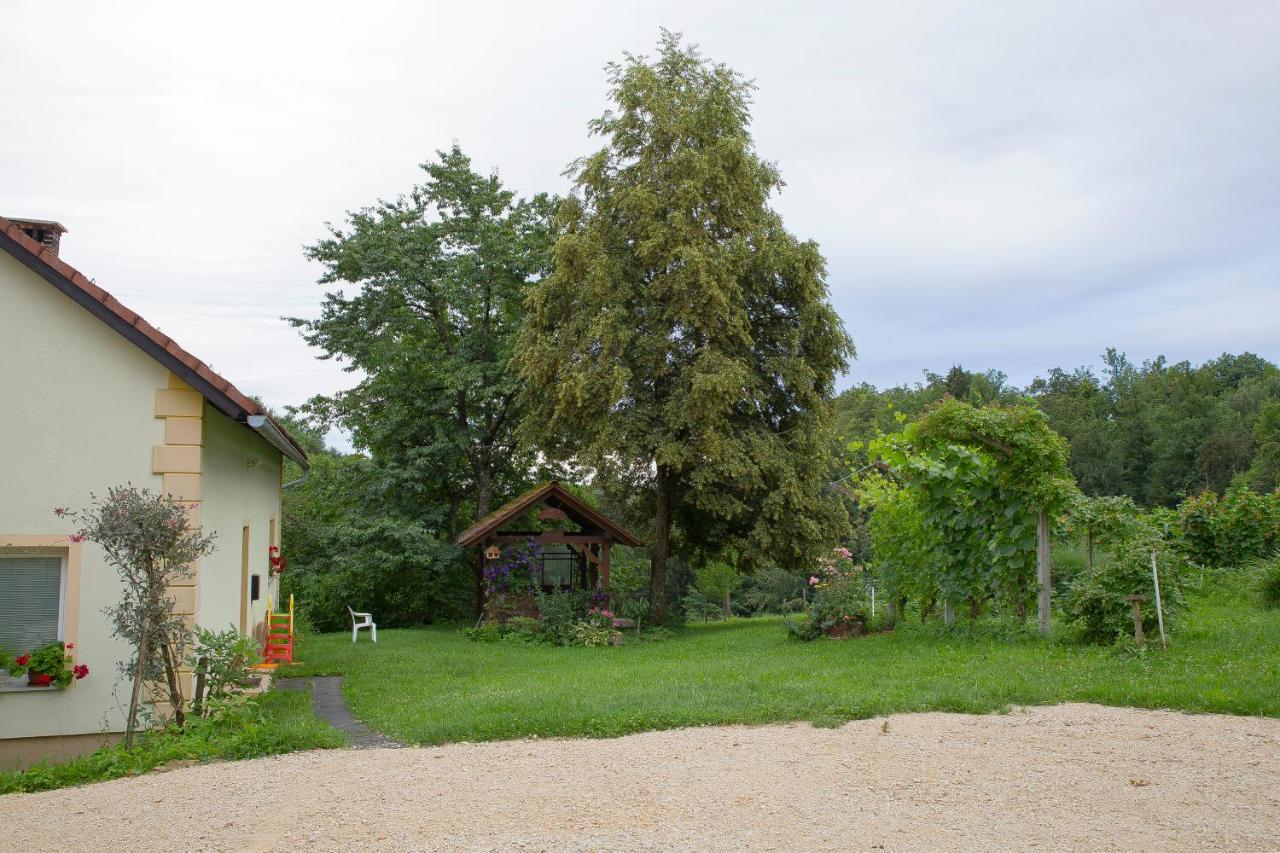 Villa Domacija Vesel à Trebnje Extérieur photo