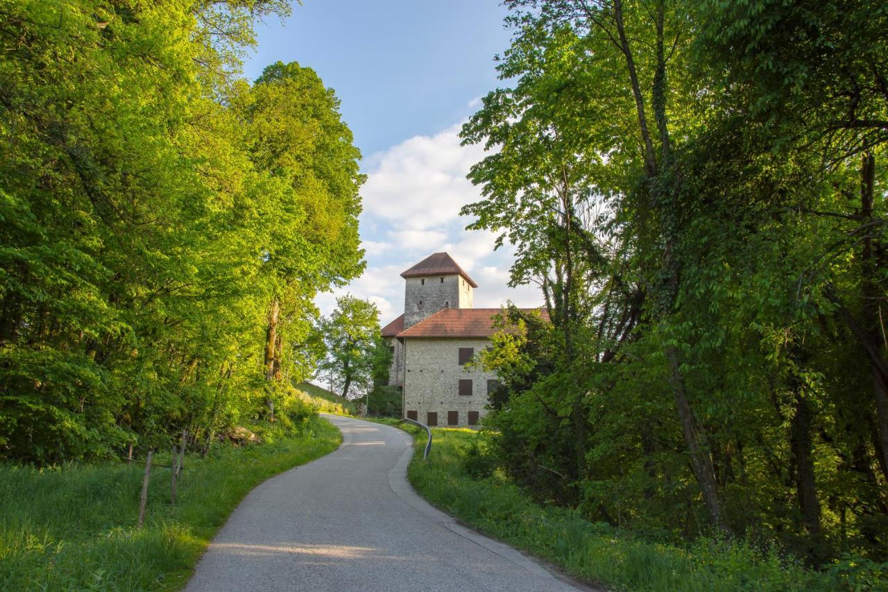 Villa Domacija Vesel à Trebnje Extérieur photo
