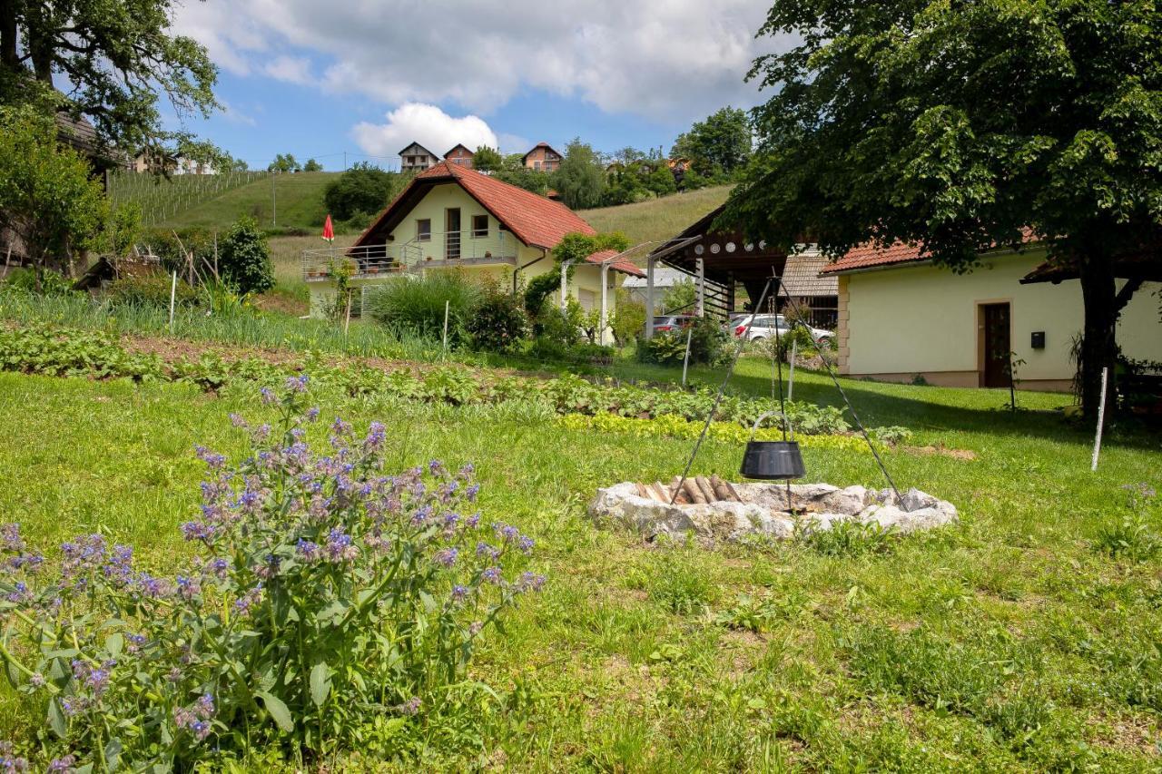 Villa Domacija Vesel à Trebnje Extérieur photo